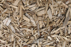 biomass boilers Ellerbeck